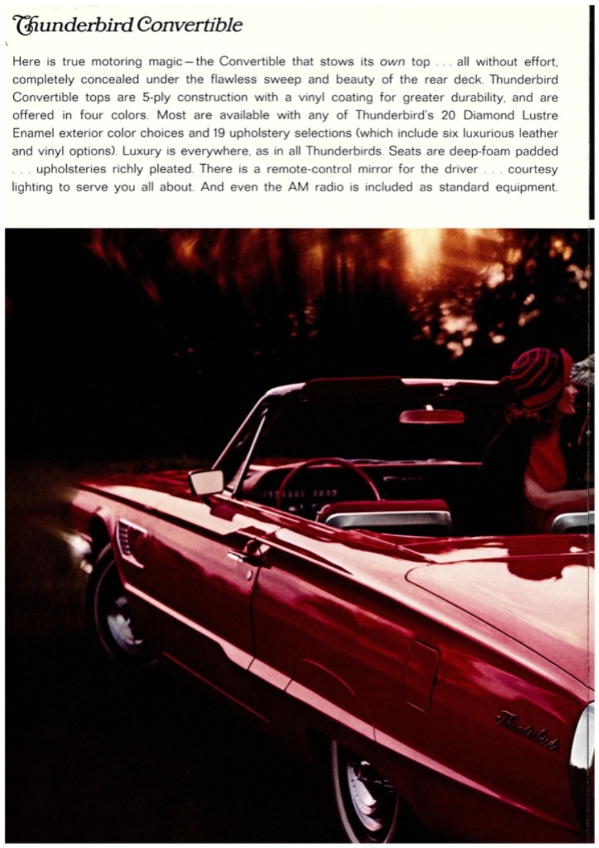 n_1965 Ford Thunderbird-10.jpg